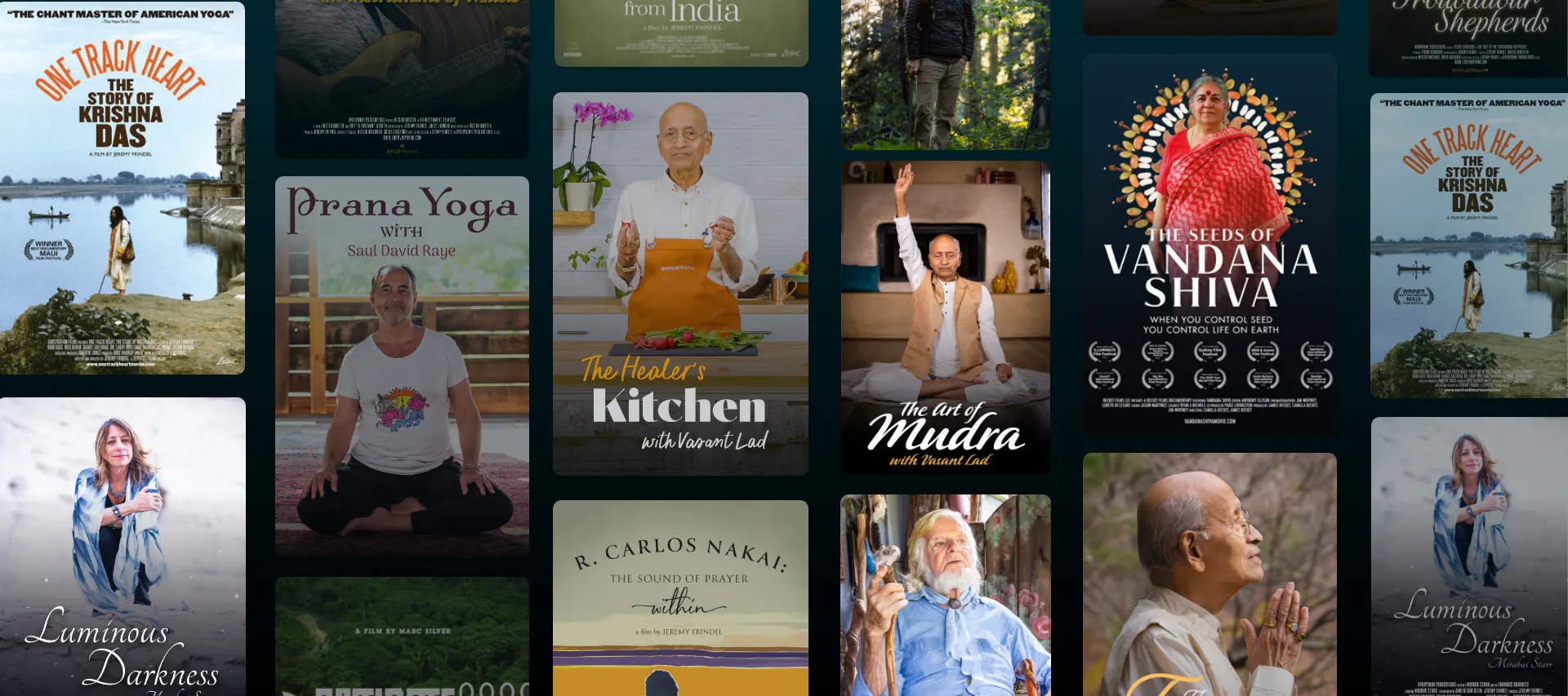 Master Your Path to Vitality